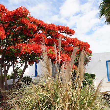 Timfay Villa Corralejo Exterior photo