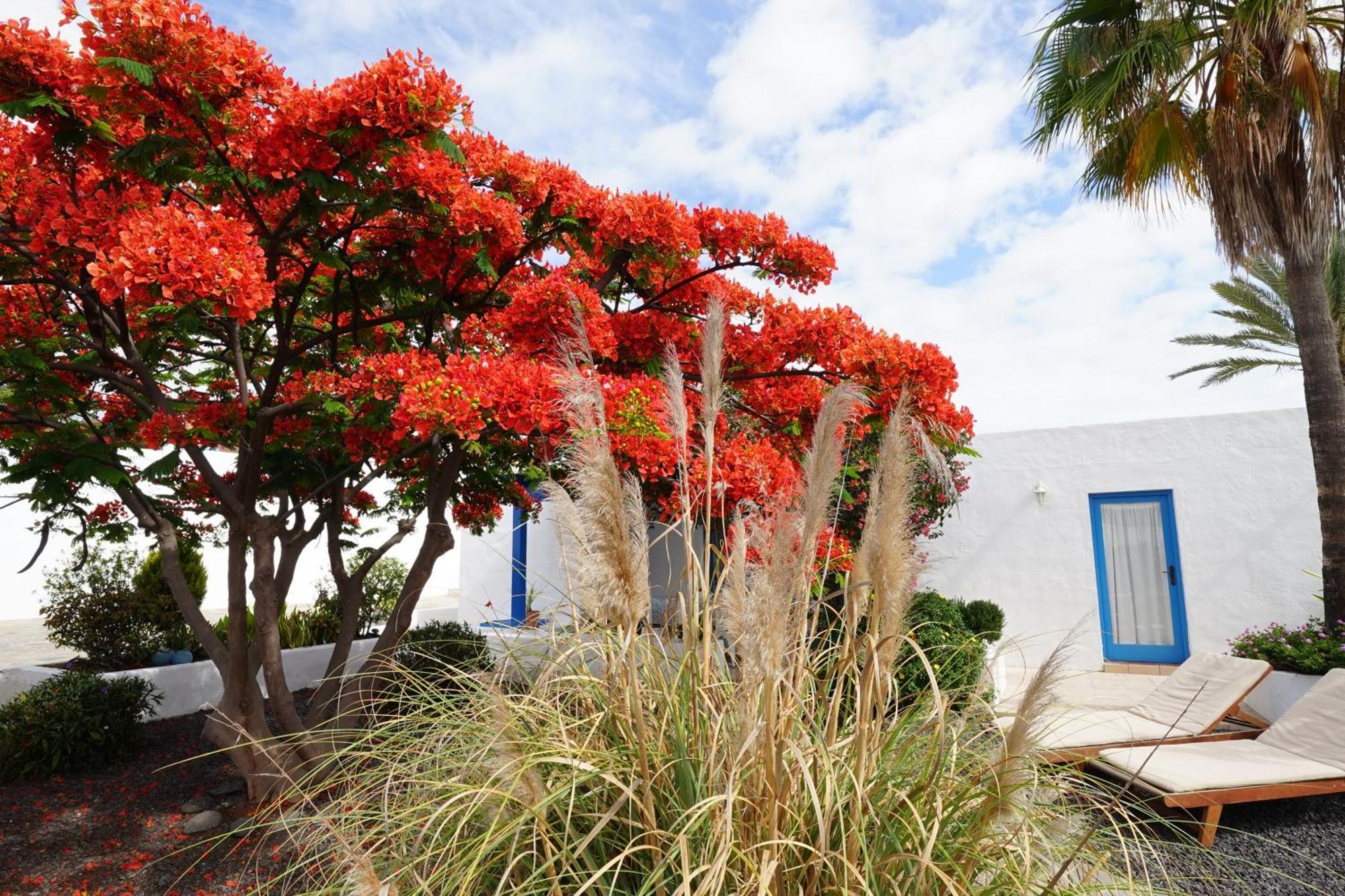 Timfay Villa Corralejo Exterior photo